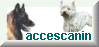 accescanin : tout pour le chien
